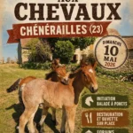 Foire aux chevaux CHENERAILLES