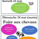 Foire aux chevaux MAINSAT