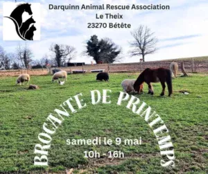 Brocante du Theix BETETE