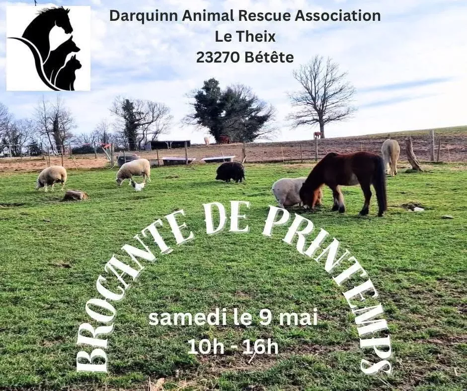 Brocante du Theix BETETE