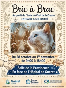 Bric à brac de l'école du chat GUERET
