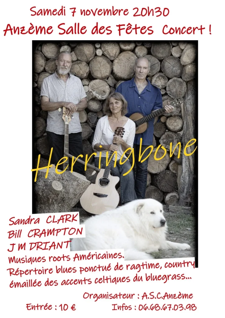 Concert ANZEME